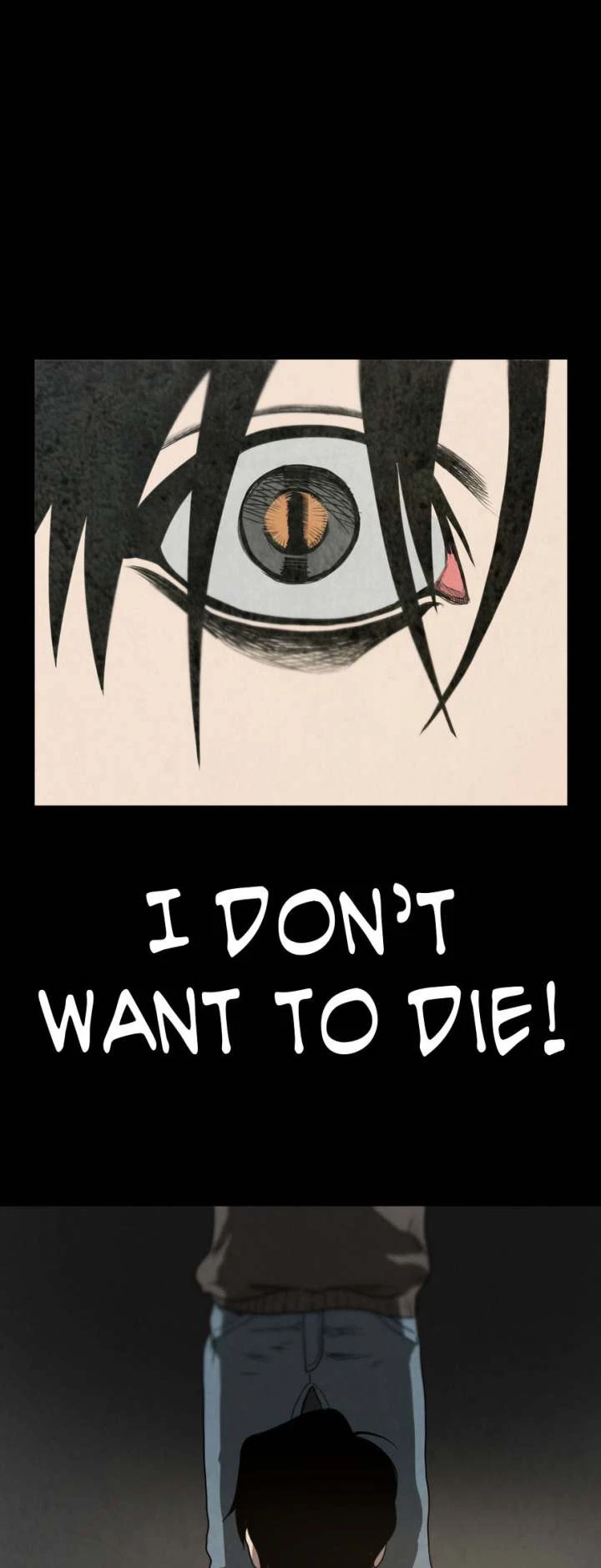 Chapter 2, page 13