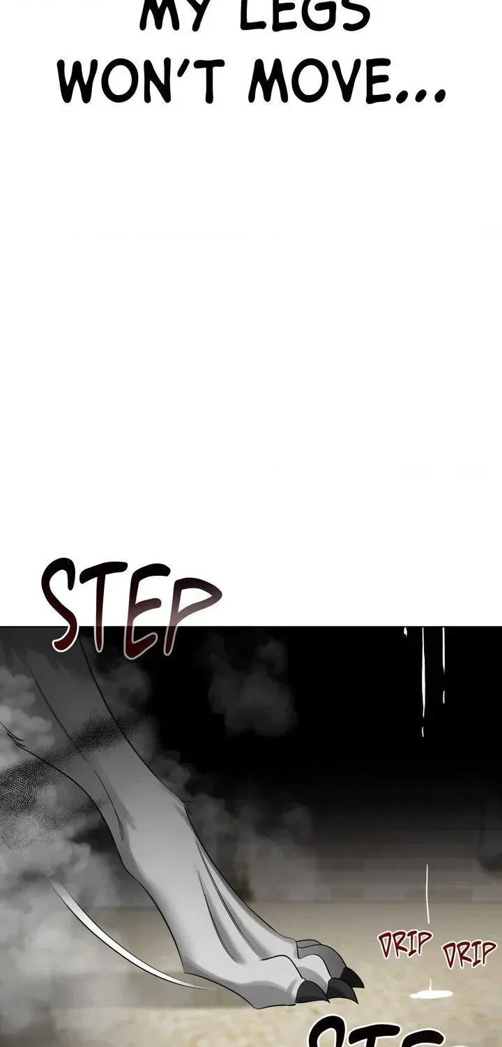 Chapter 2.1, page 13