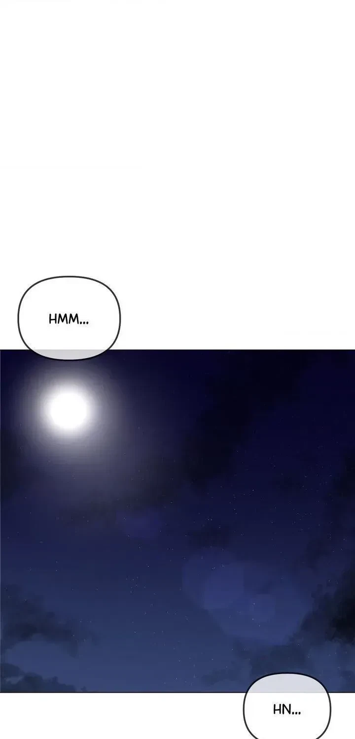 Chapter 2.1, page 71