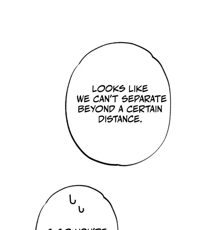 Chapter 2, page 81