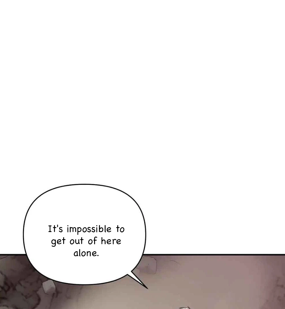 Chapter 8, page 110