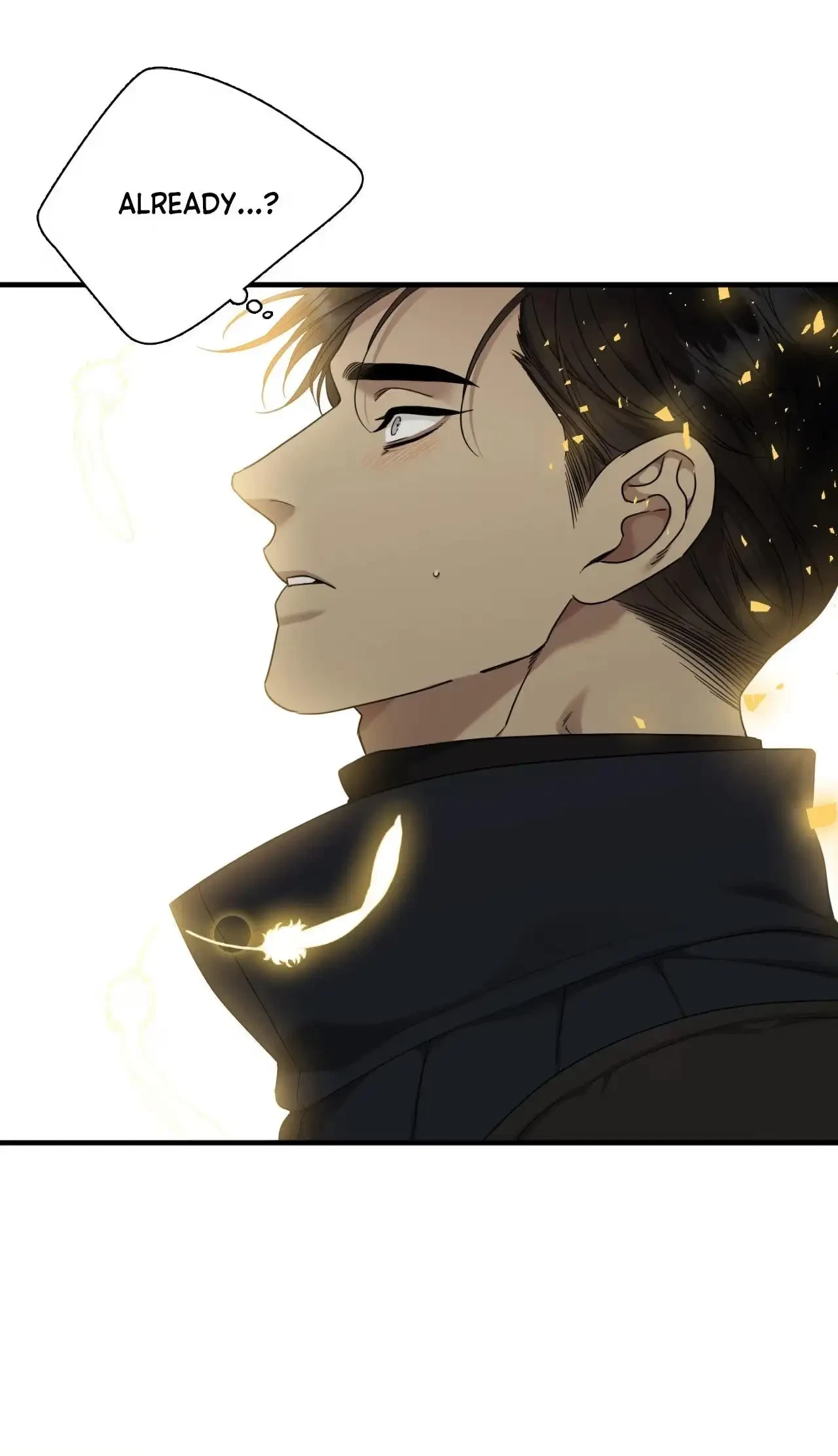 Chapter 2, page 29