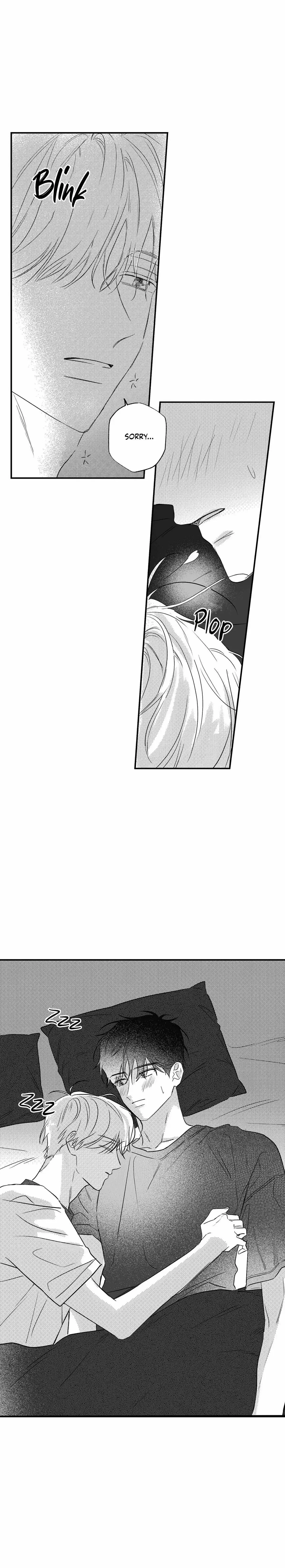 Chapter 3, page 19