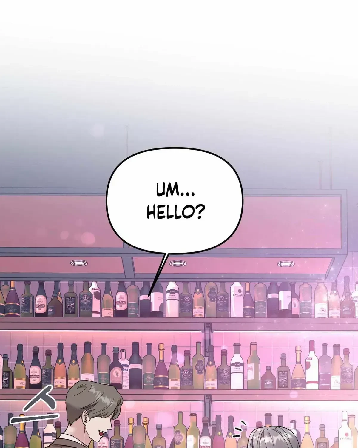 Chapter 1.1, page 17