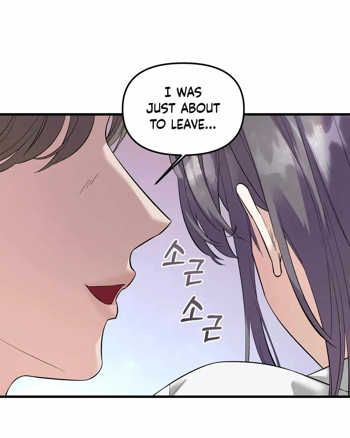 Chapter 1.1, page 20