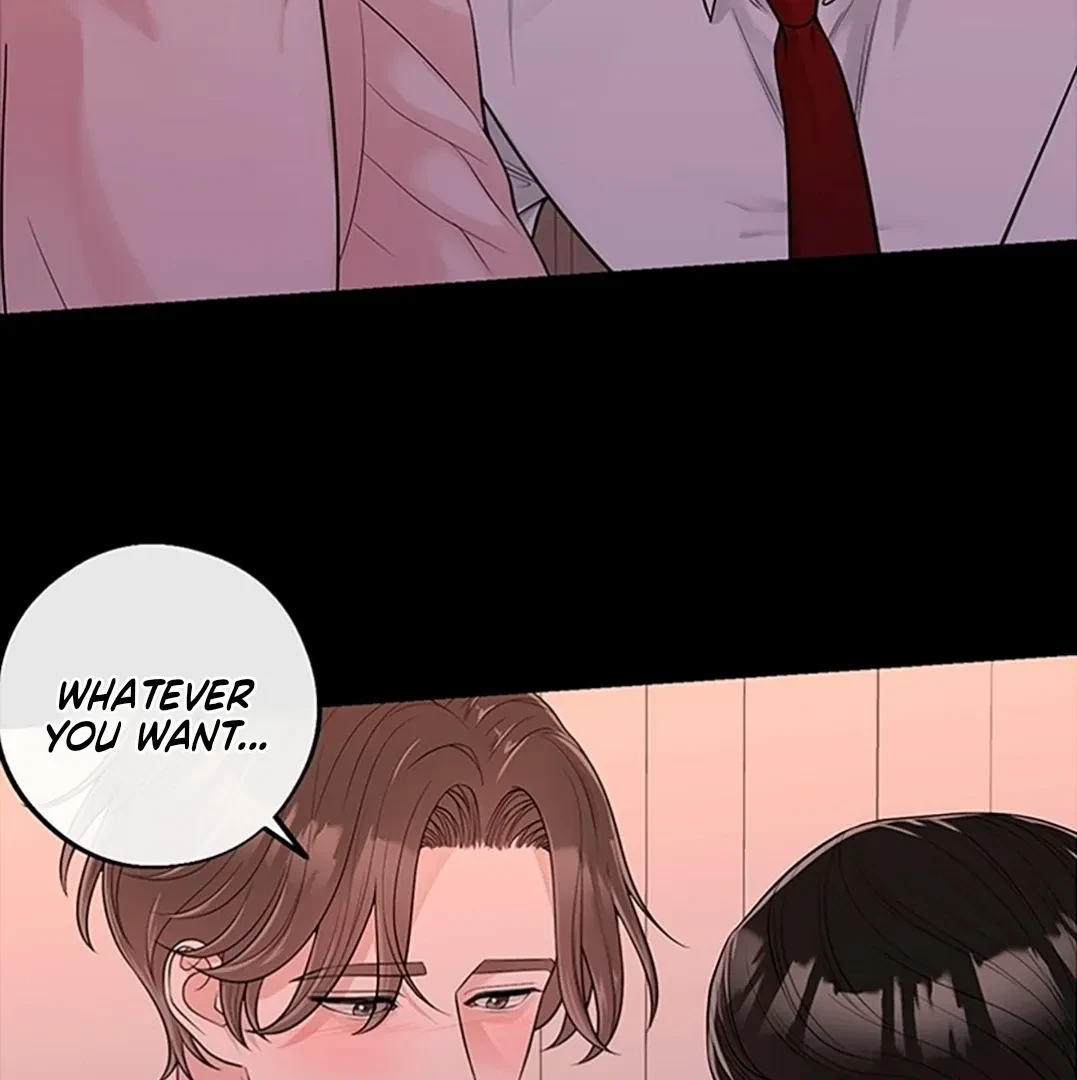 Chapter 3, page 101