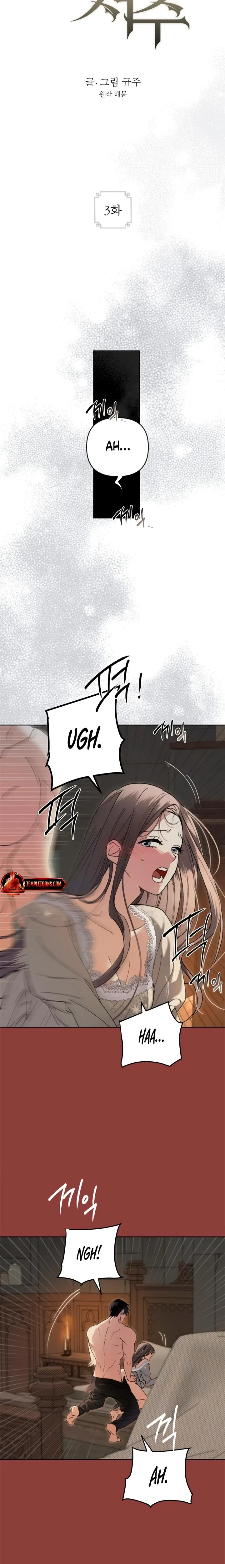 Chapter 3, page 3