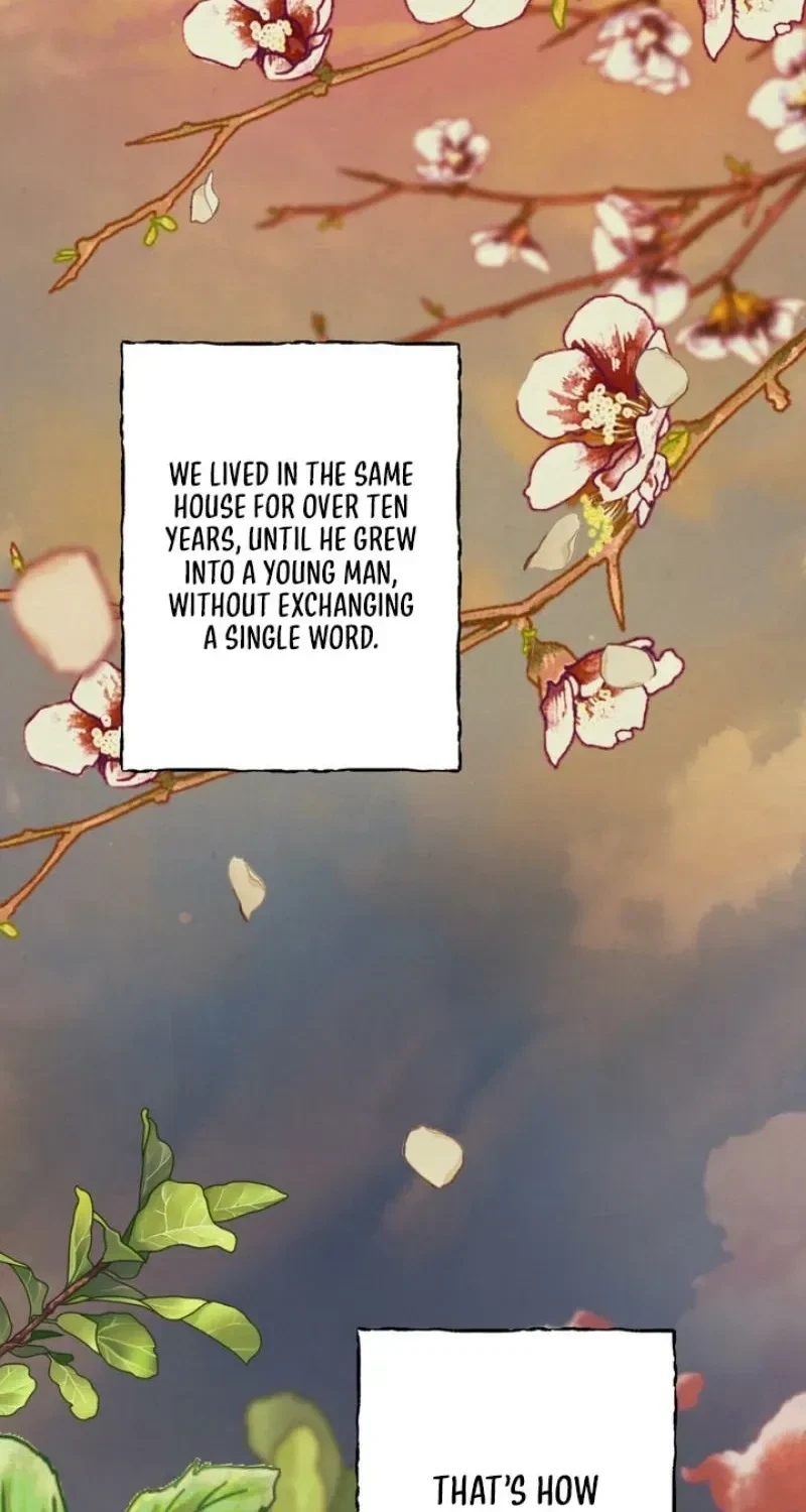 Chapter 1, page 91