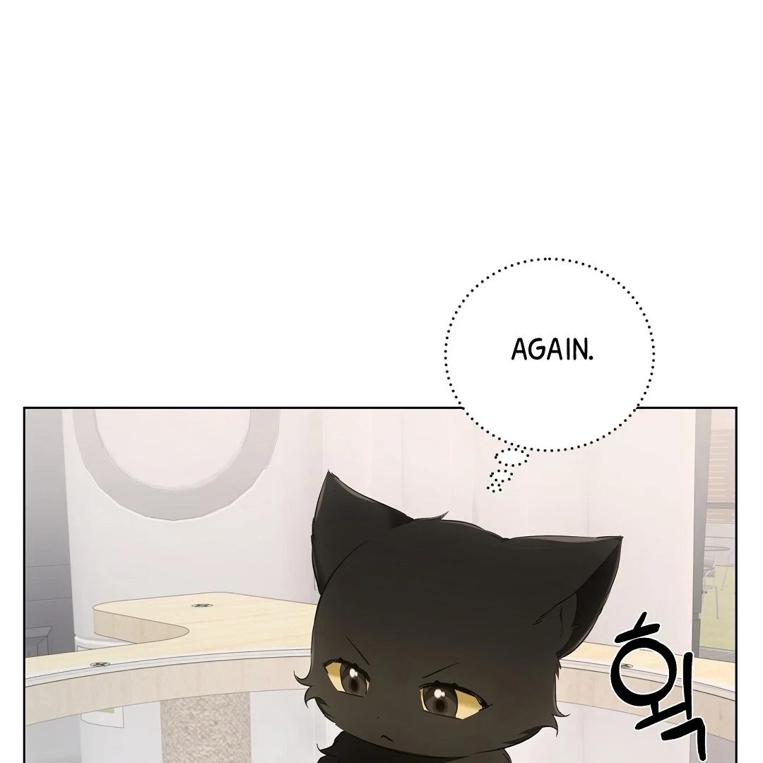Chapter 10, page 114