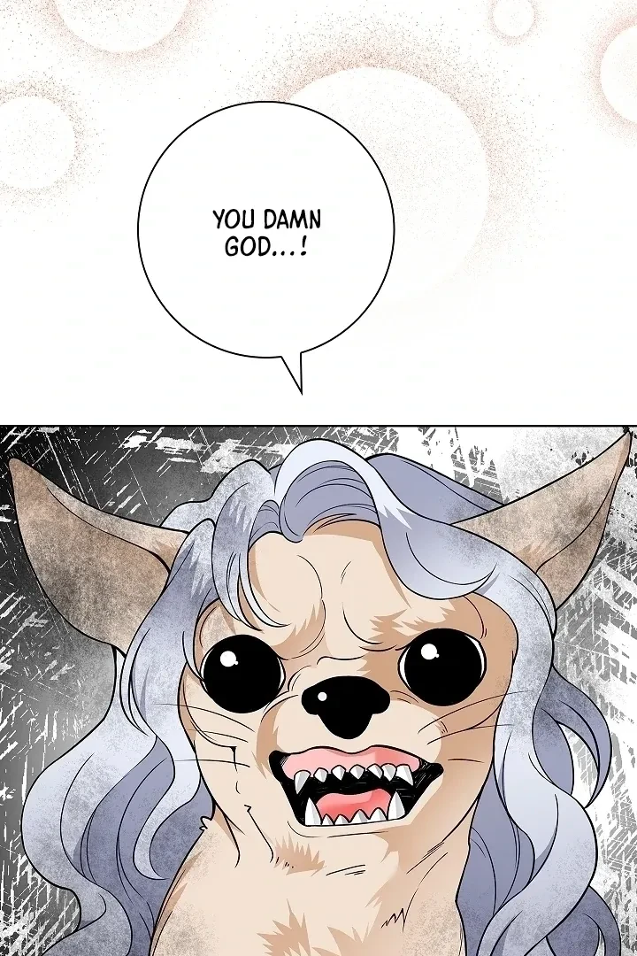 Chapter 34, page 79