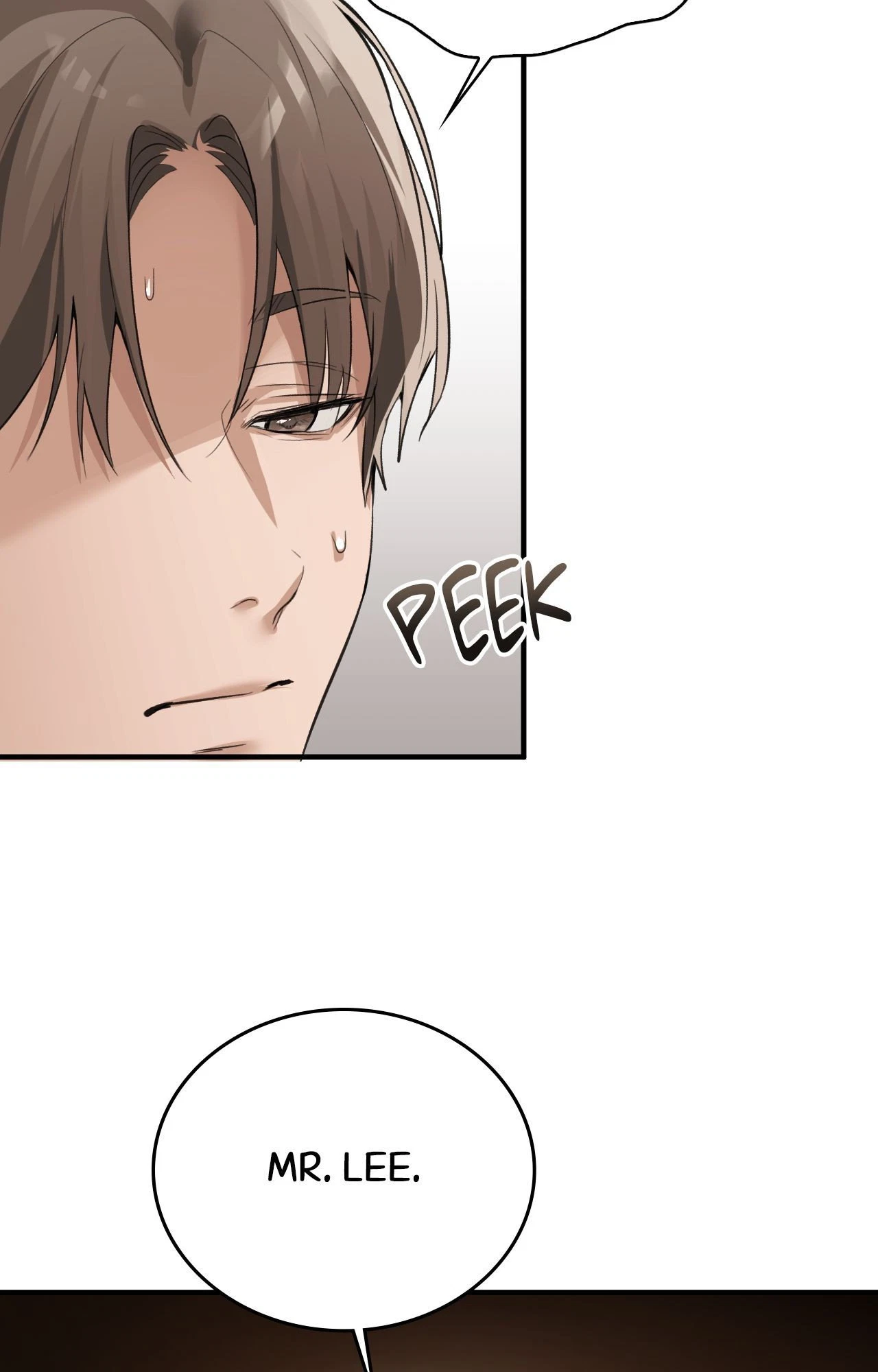 Chapter 7, page 97