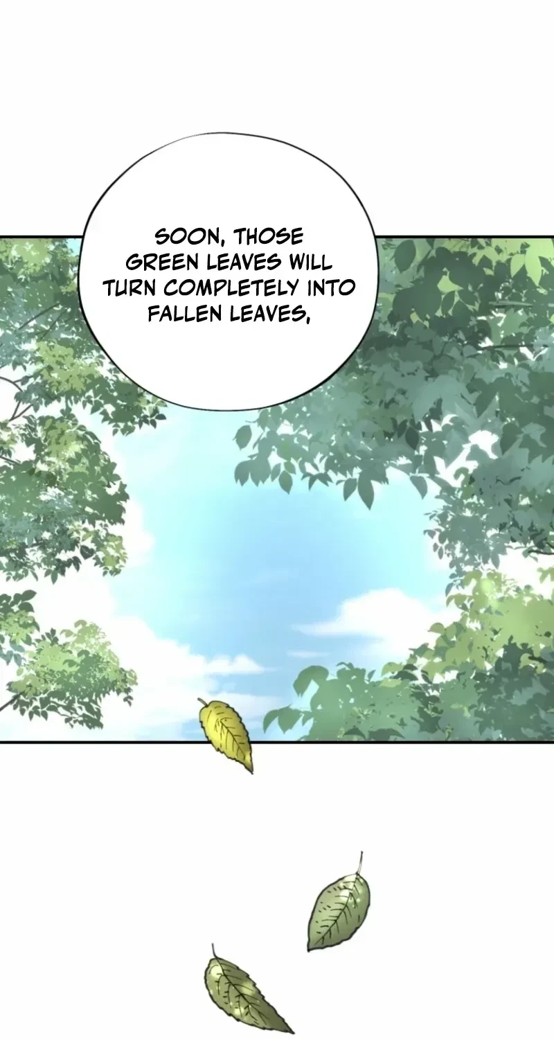 Chapter 2.2, page 31