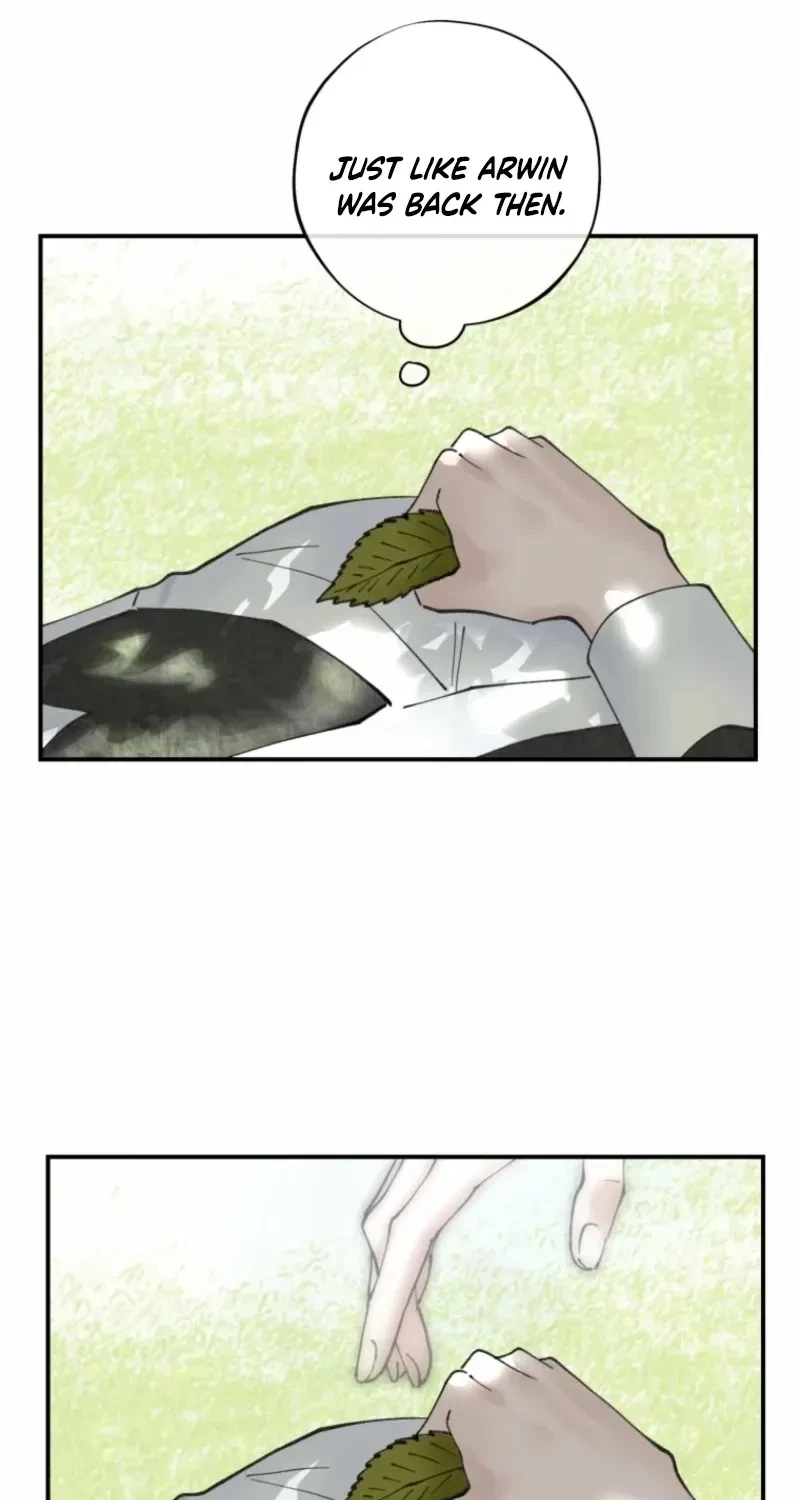 Chapter 2.2, page 41