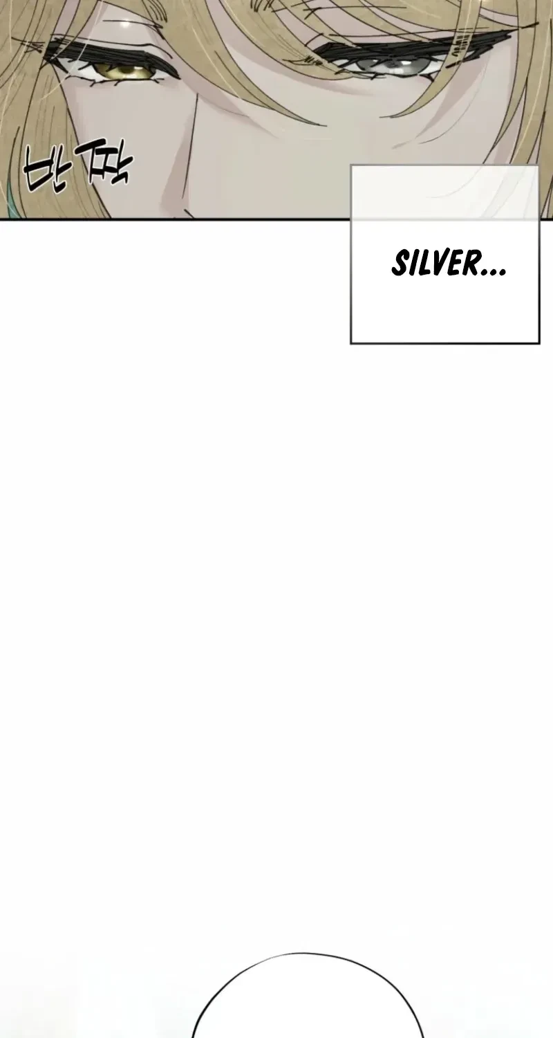 Chapter 2.2, page 60