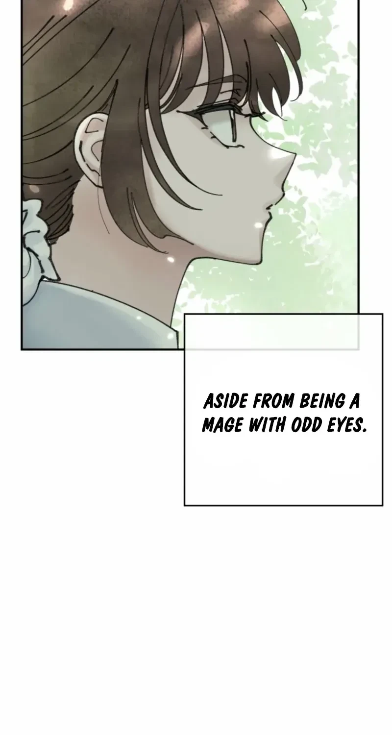 Chapter 2.2, page 70