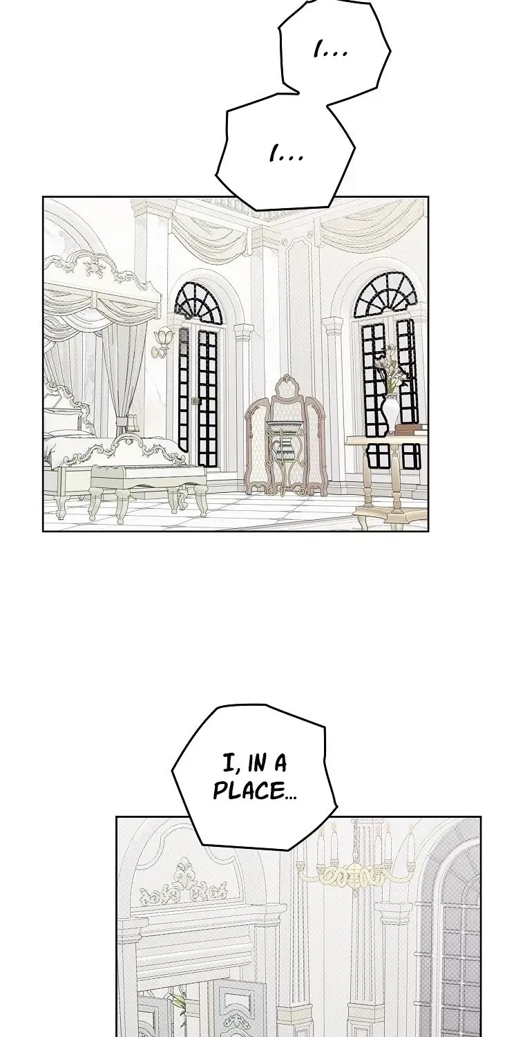Chapter 3, page 67