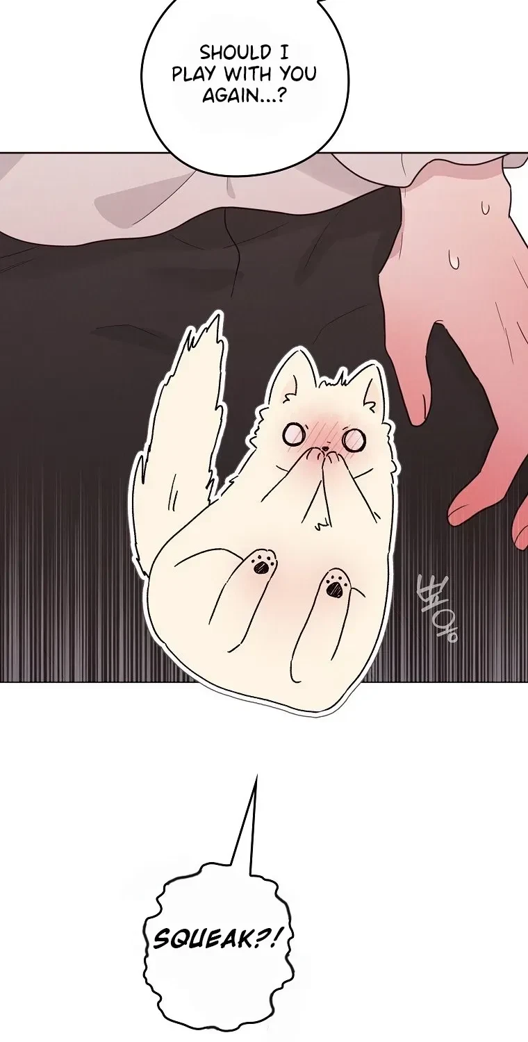 Chapter 3, page 85