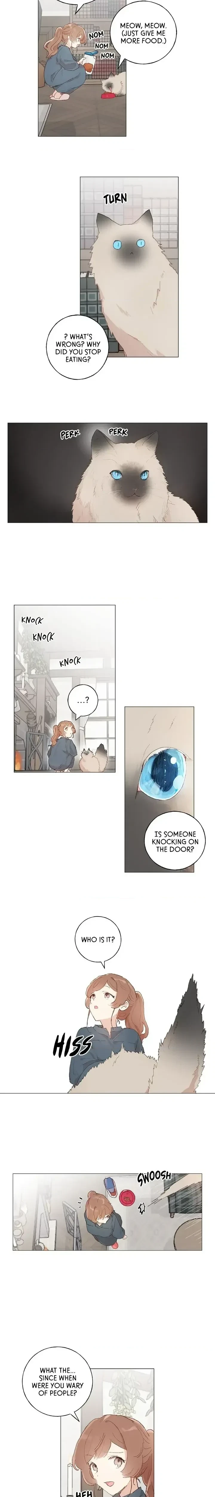 My Teacher Has Chosen My Husband Candidates Chapter 29, page 2