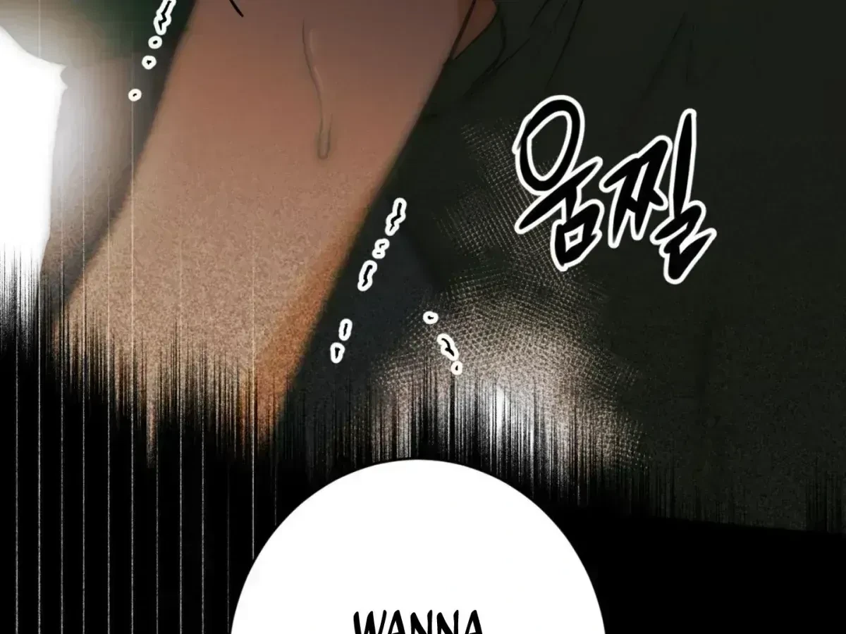 Chapter 2.4, page 249