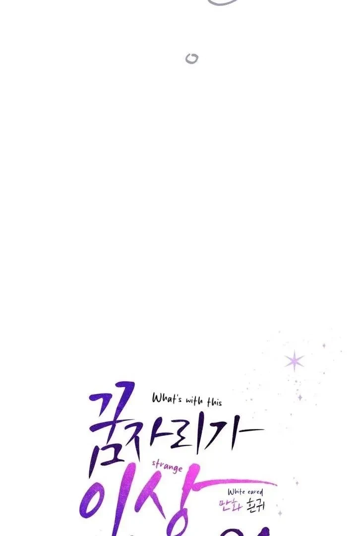 Side.2, page 24