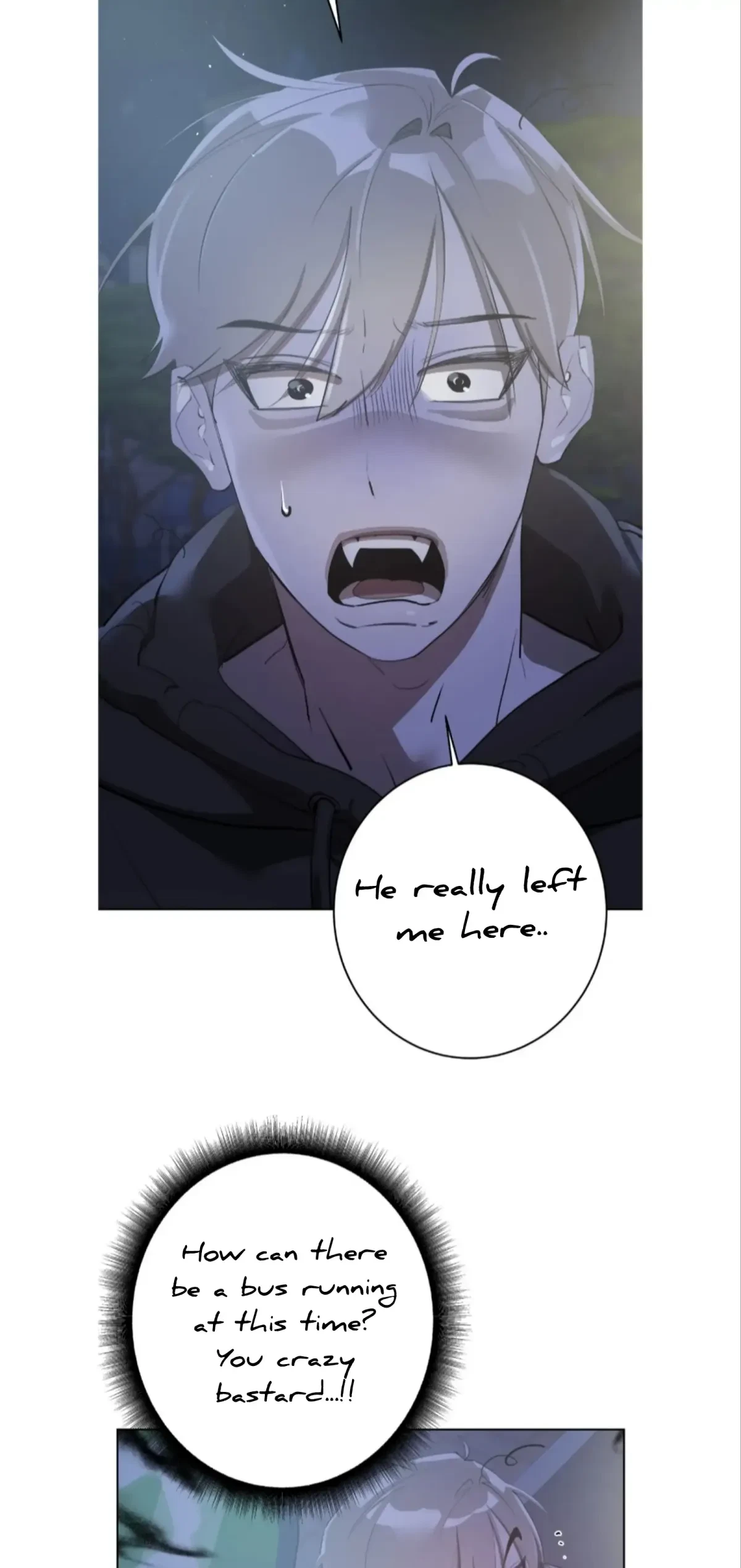 Chapter 4, page 29
