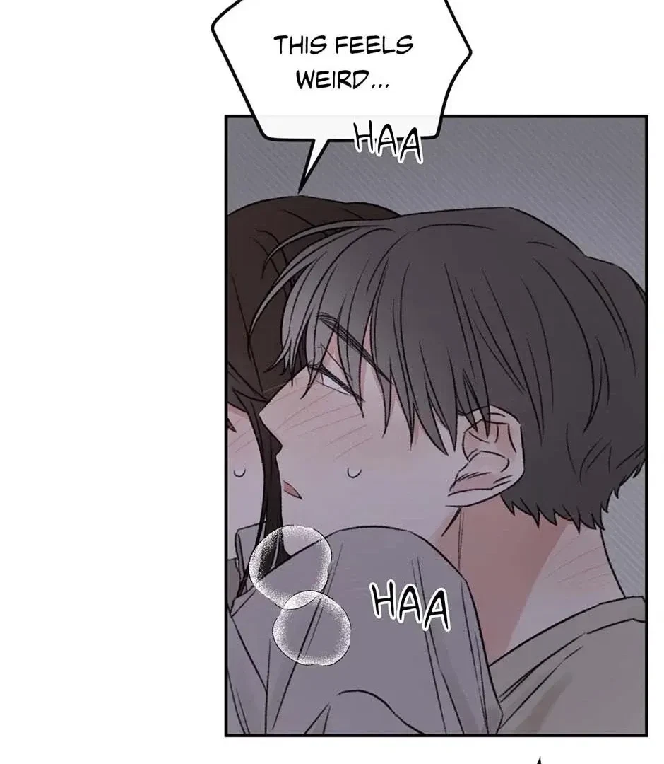 Chapter 3, page 40