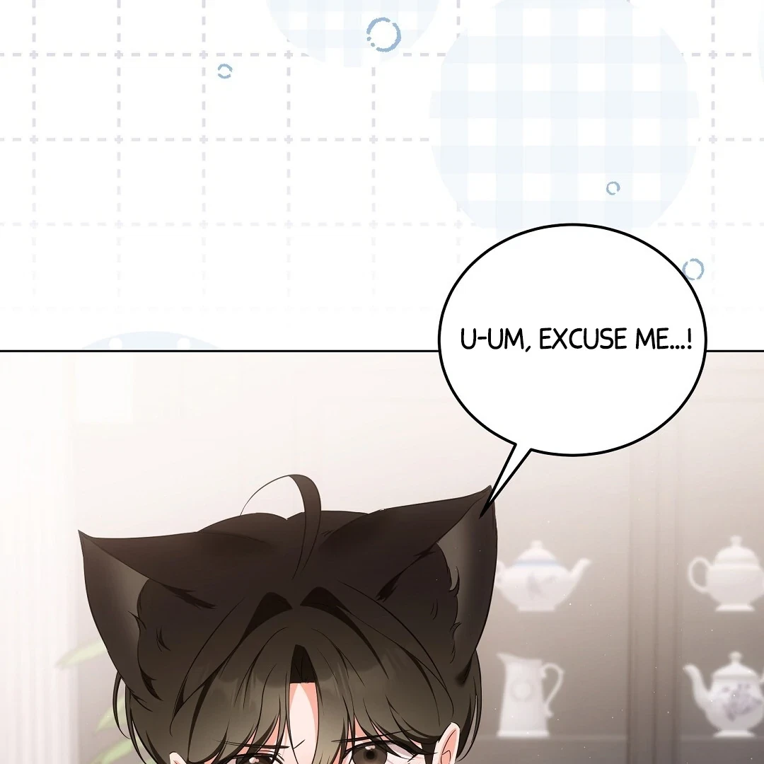 Chapter 7, page 105