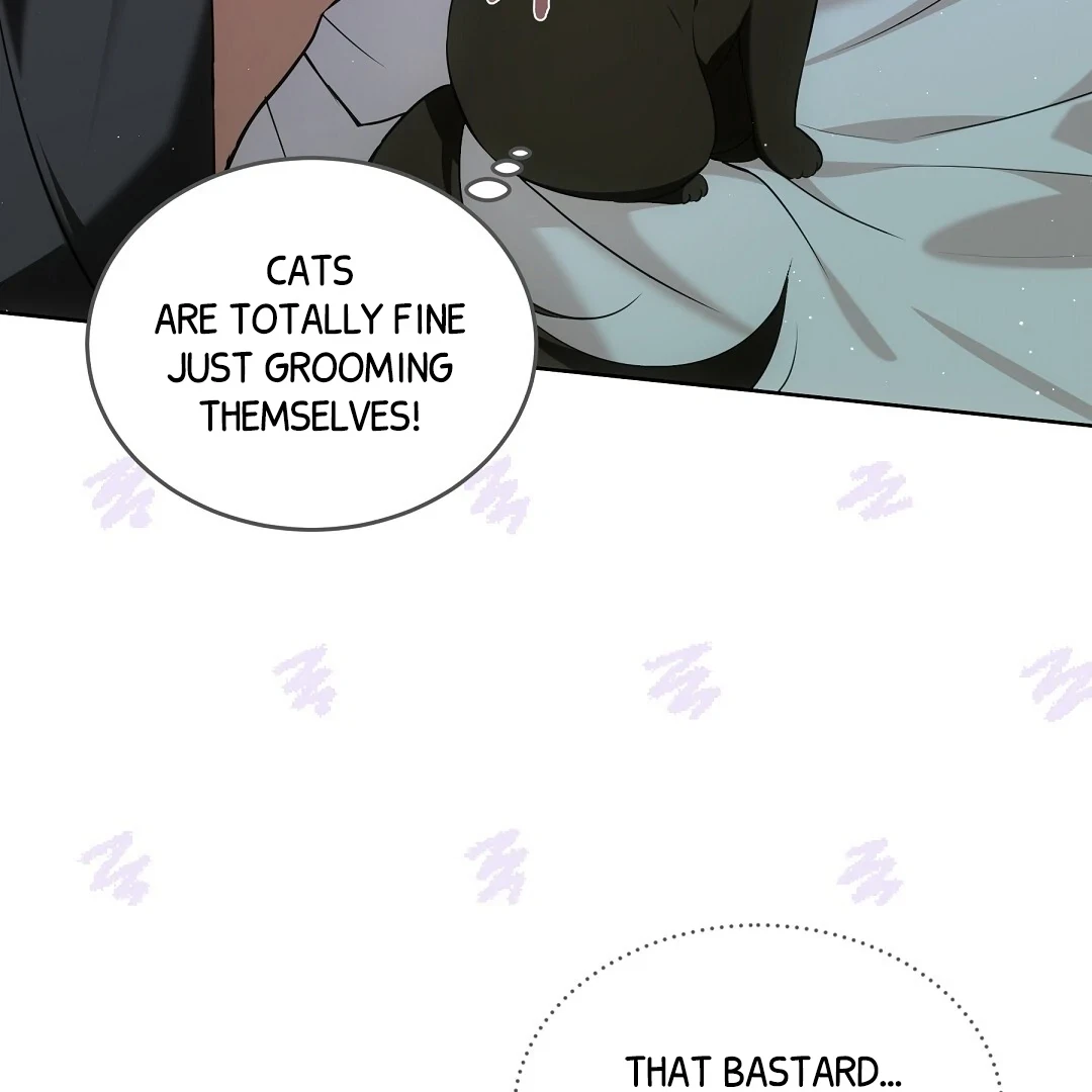 Chapter 7, page 13