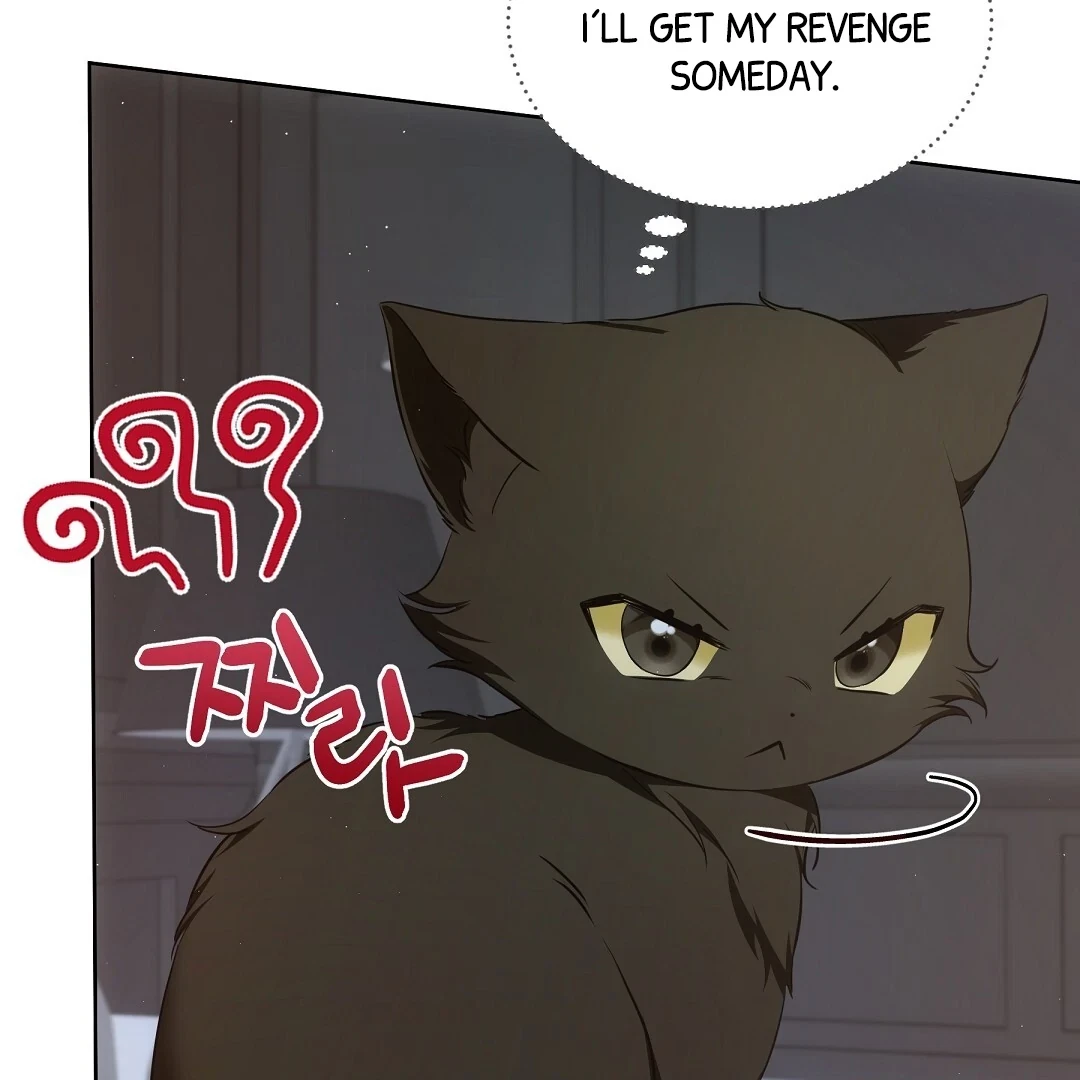 Chapter 7, page 14