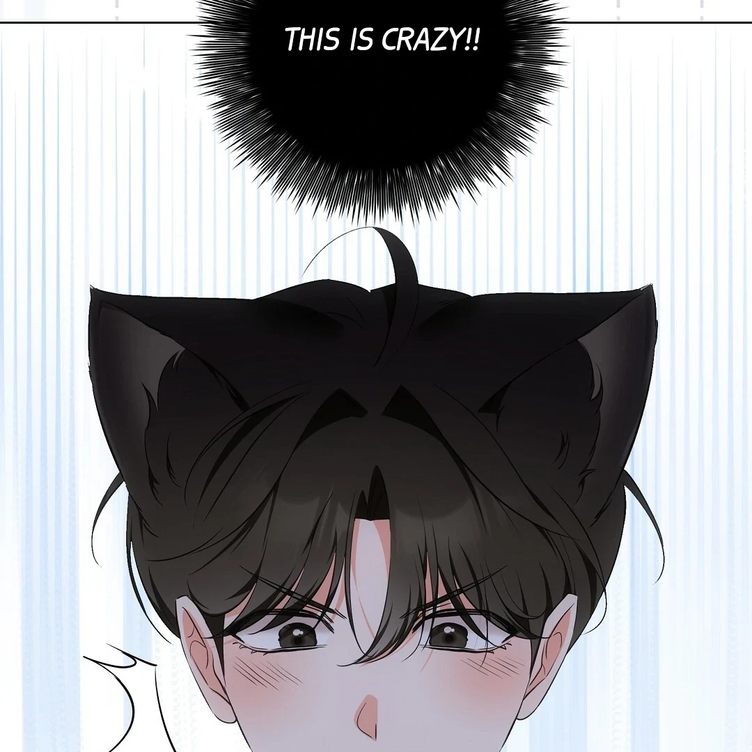 Chapter 7, page 99