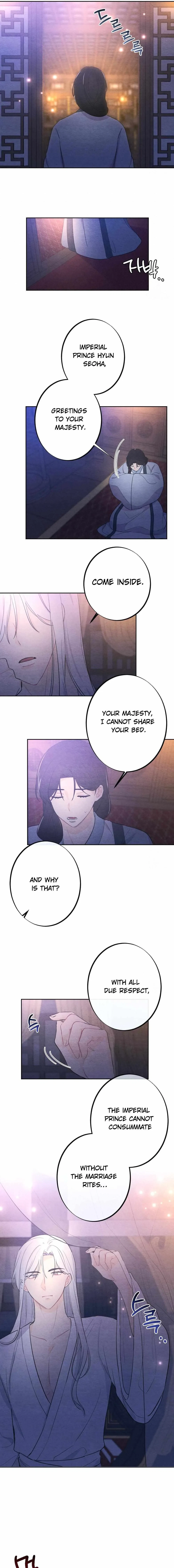 Chapter 3, page 11