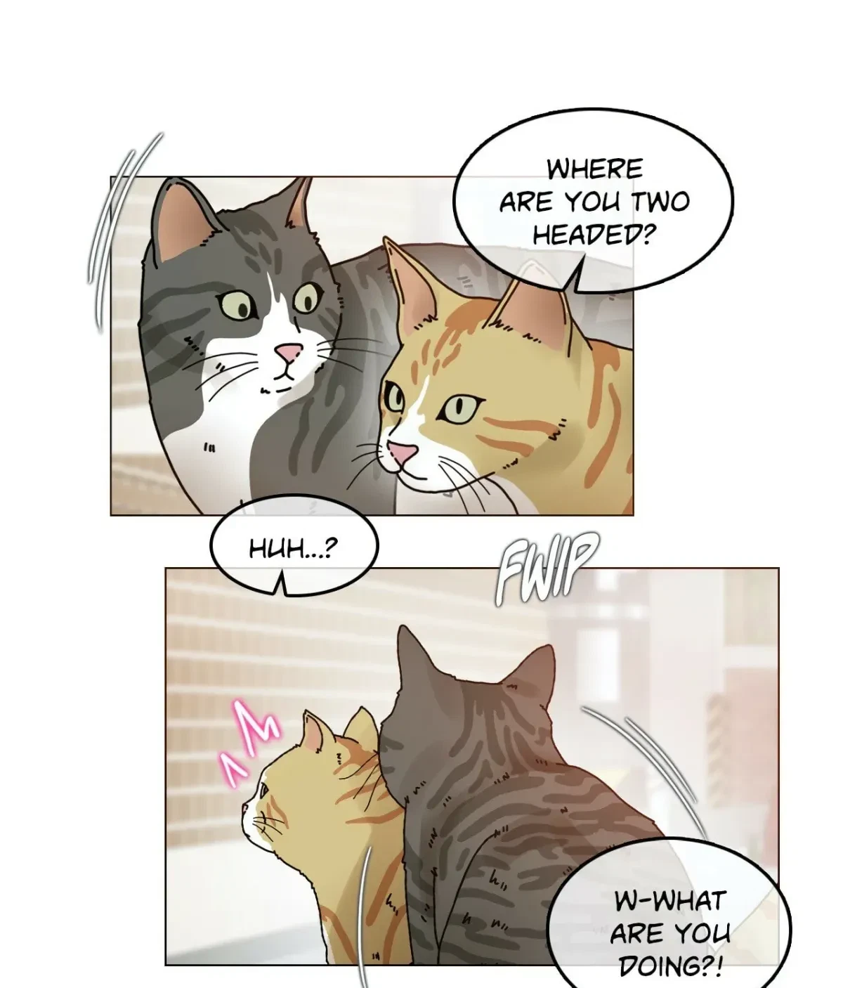 Chapter 12.8, page 19