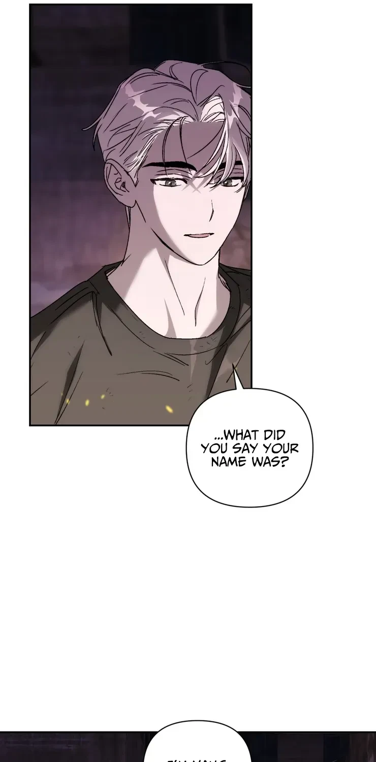 Chapter 3, page 38