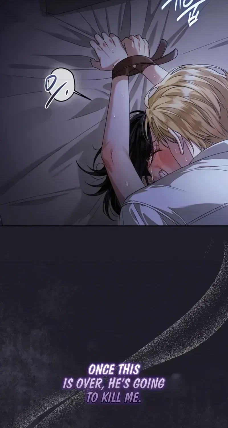 Chapter 1.1, page 17