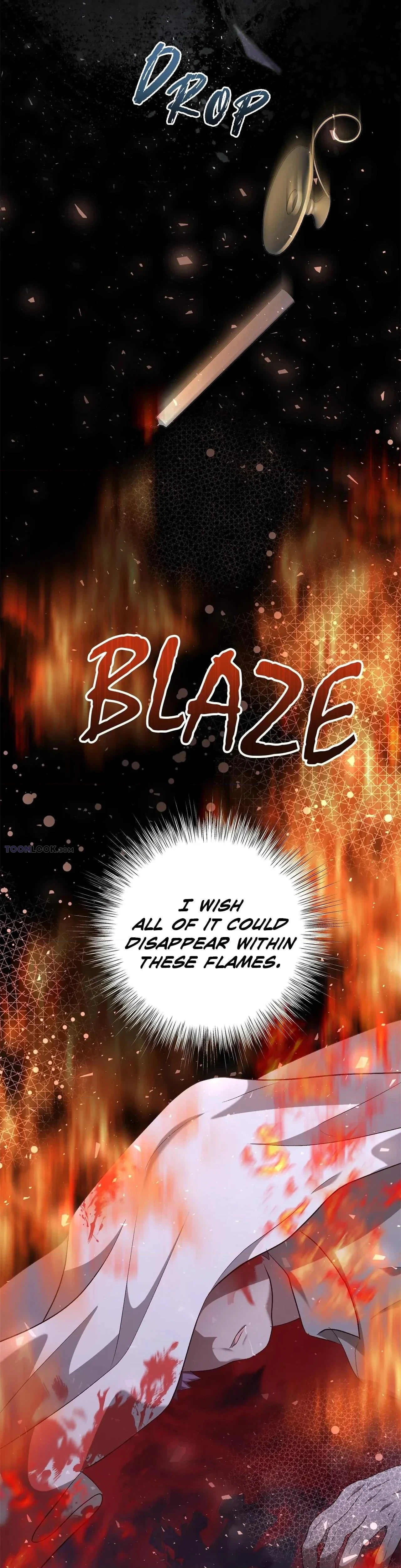 Chapter 2, page 27
