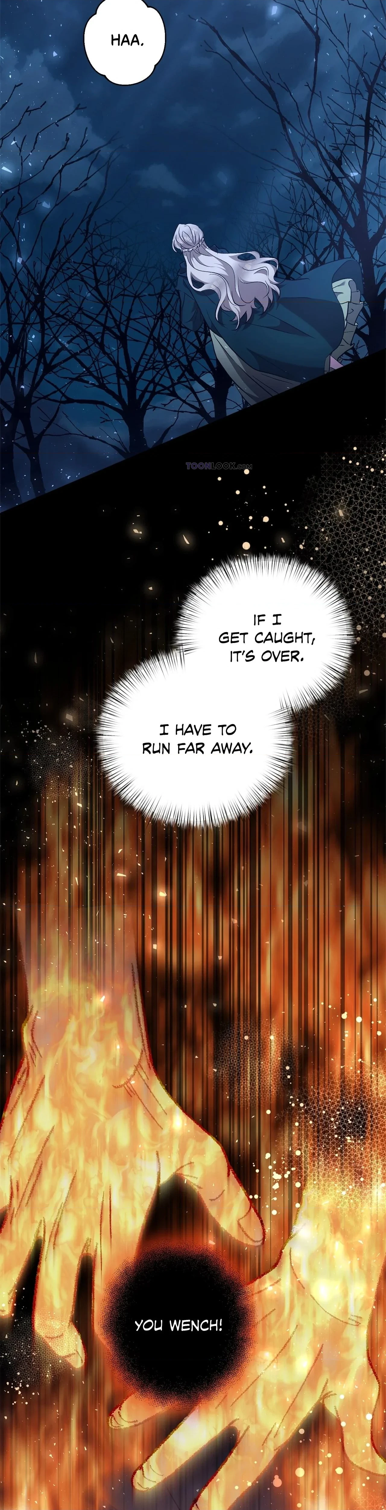Chapter 2, page 30