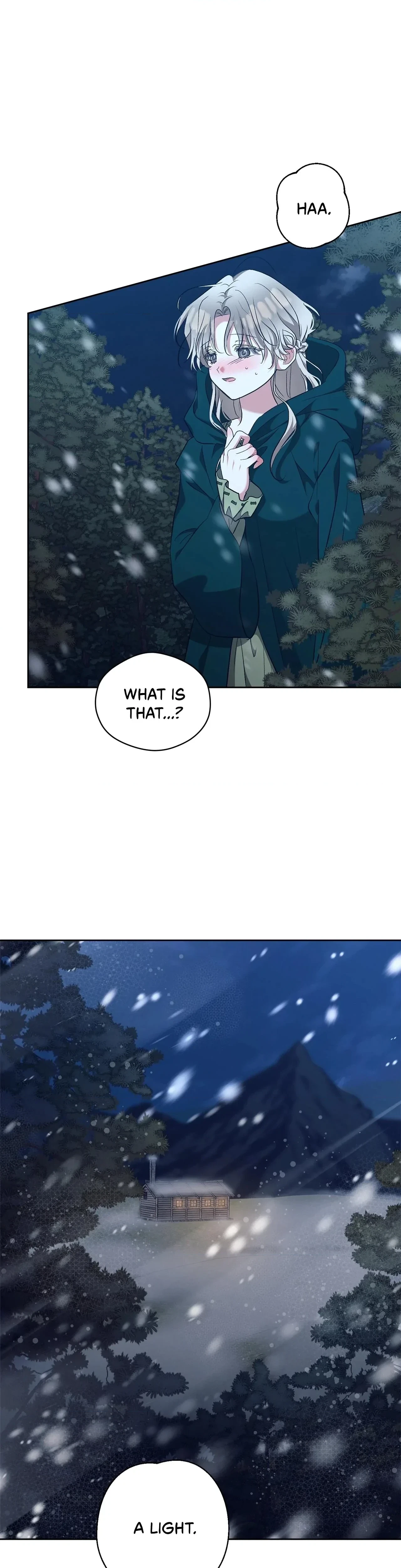 Chapter 2, page 39