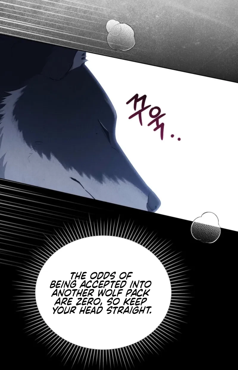 Chapter 4, page 81