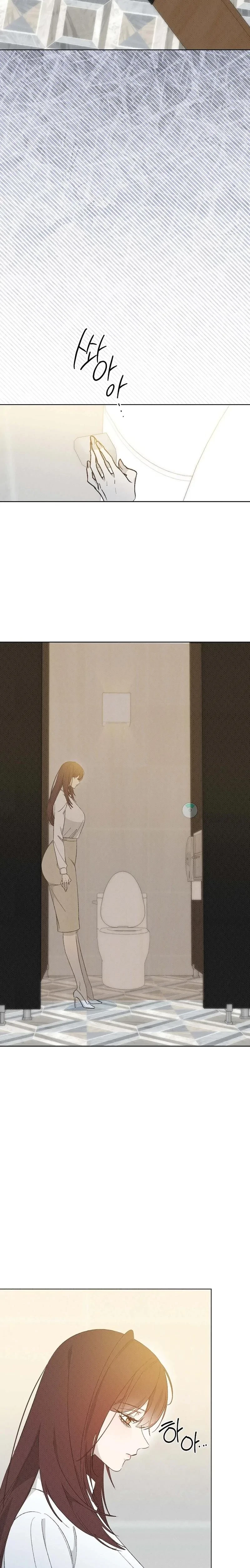 Chapter 41, page 13