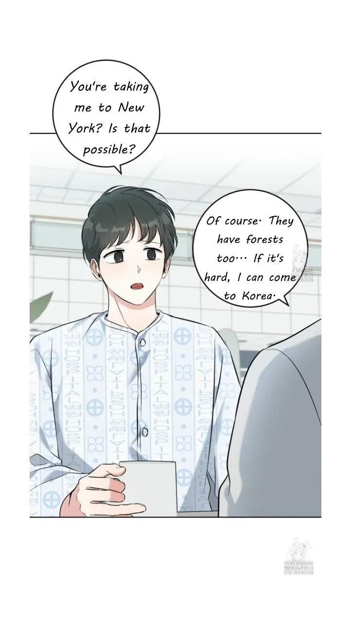 Chapter 38, page 49