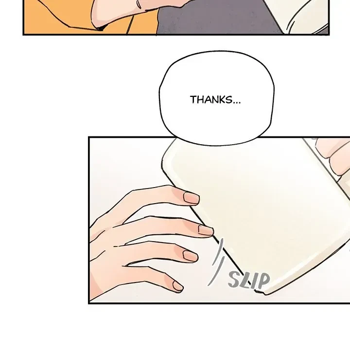 Chapter 4, page 19