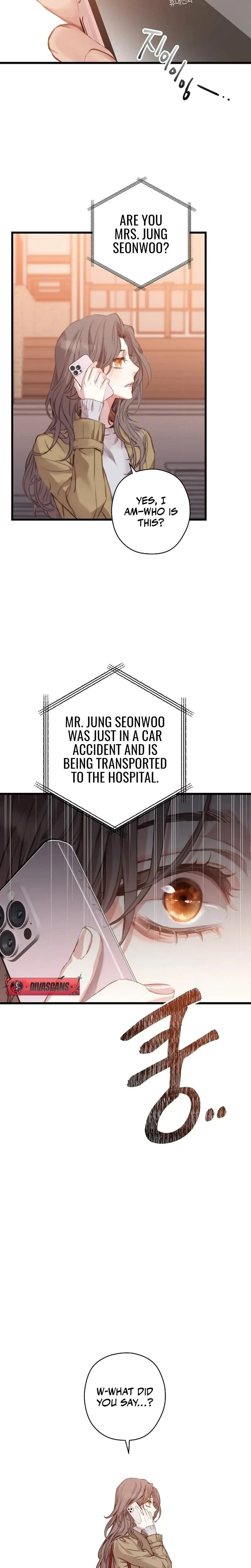Chapter 2, page 19