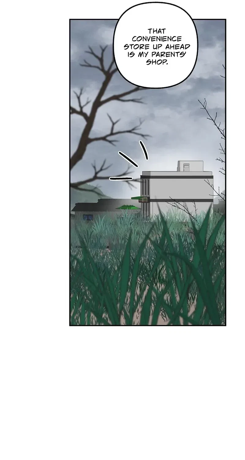 Chapter 3, page 51