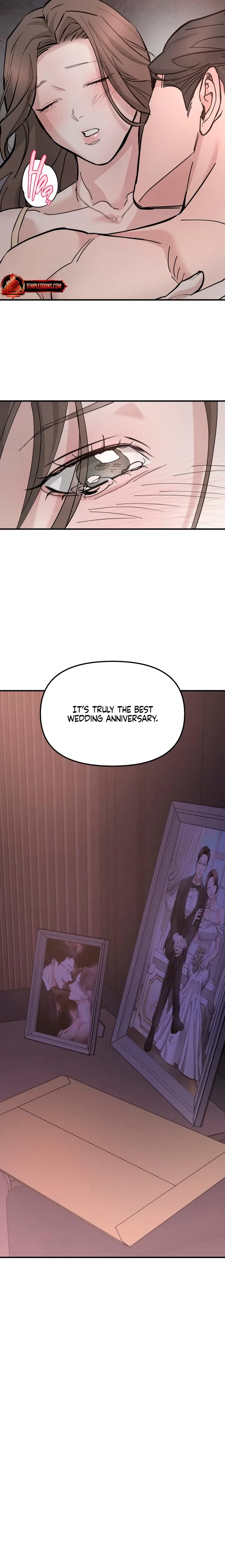 Chapter 1, page 13