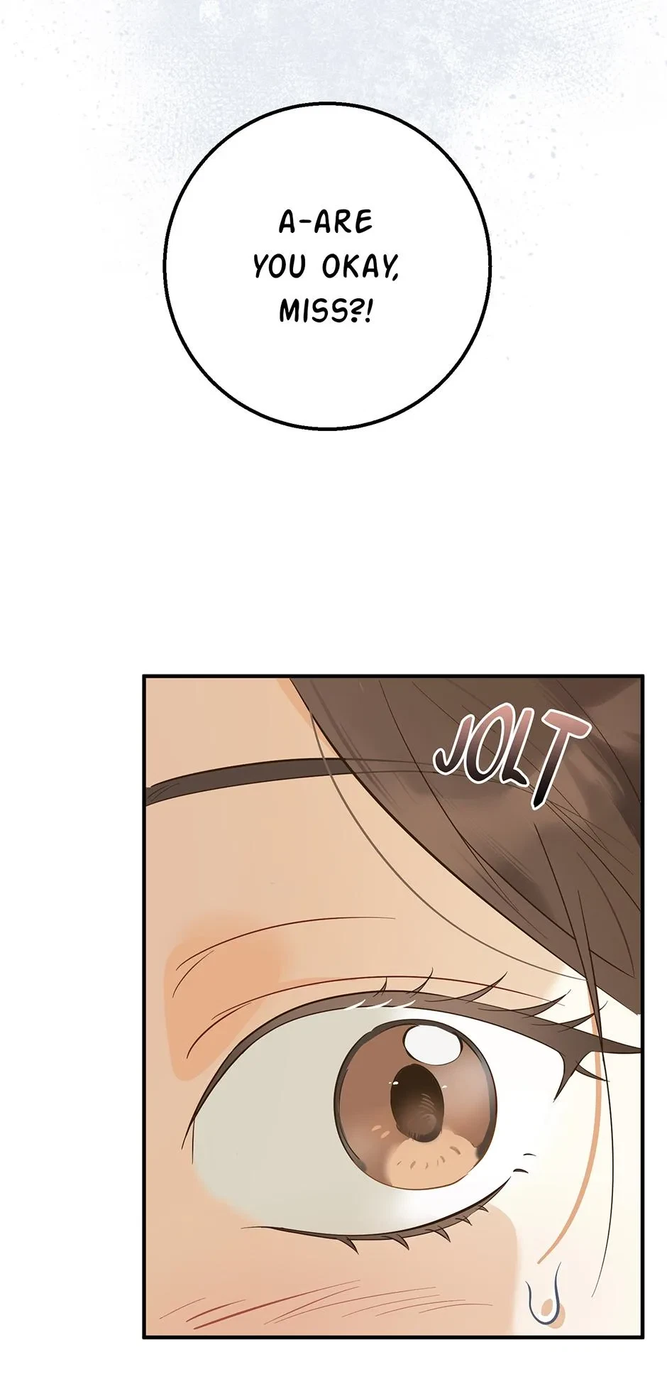 Chapter 1, page 19