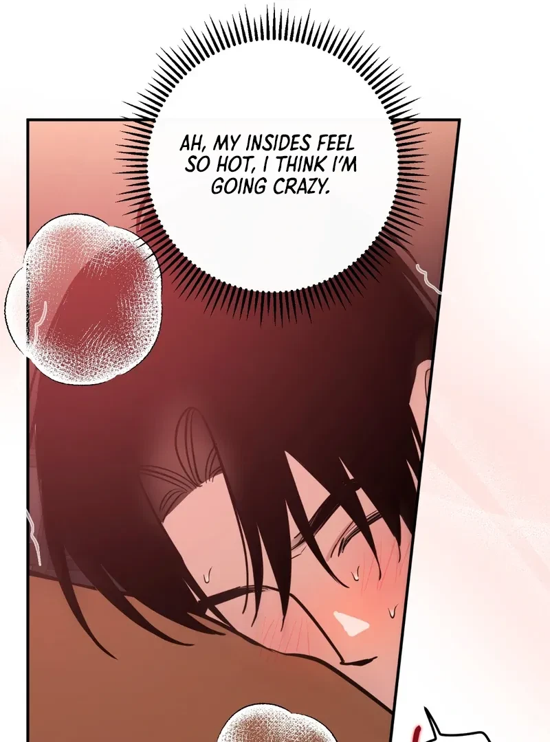 Chapter 4, page 115