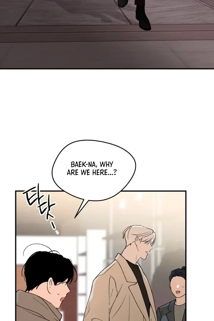 Chapter 4, page 41