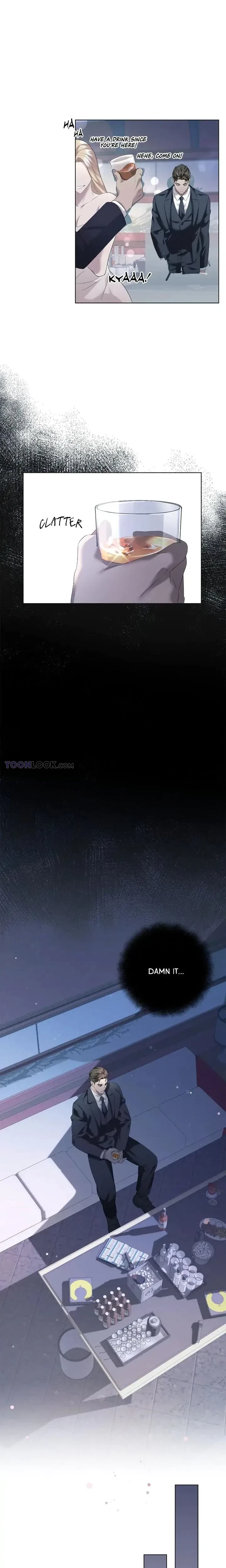 Chapter 4, page 17