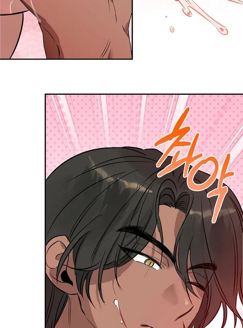 Chapter 2, page 100