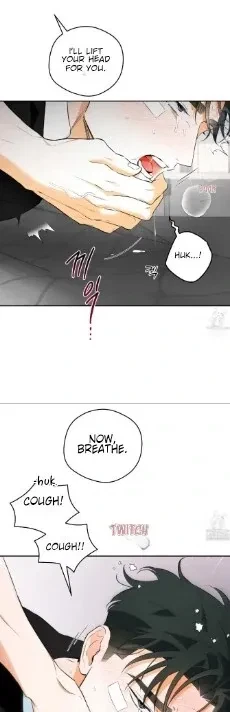 Chapter 29, page 13